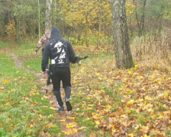 Ilustracja do artykułu Listopad w Schronisku dla Zwierząt w Olsztynie