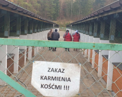 Ilustracja do artykułu Nowy wolontariat w Tomarynach