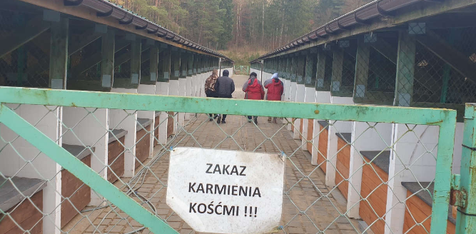 Ilustracja do aktualności Nowy wolontariat w Tomarynach