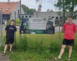 Ilustracja do artykułu Dwie wizyty w schronisku dla zwierząt w Olsztynie