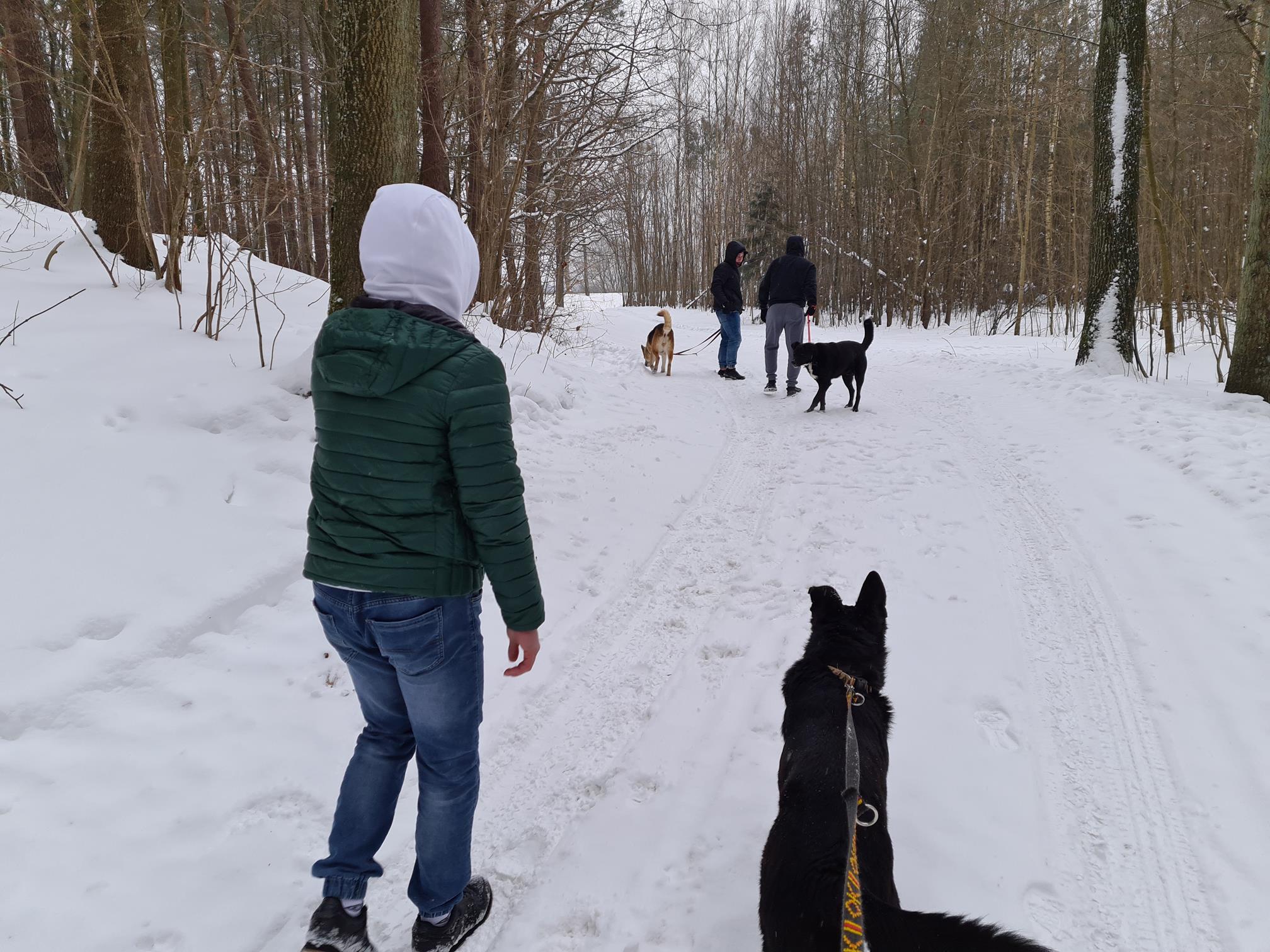 Ilustracja do aktualności Z KOLEJNĄ WIZYTĄ W TOMARYNACH