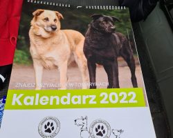 Ilustracja do artykułu SPACER Z PSAMI