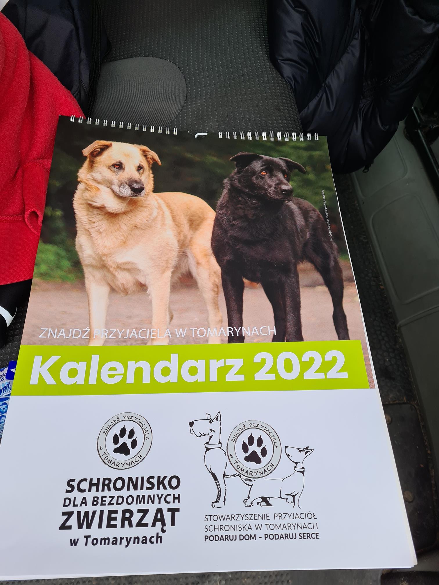 Ilustracja do aktualności SPACER Z PSAMI