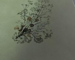 Ilustracja do artykułu Narodowe Czytanie