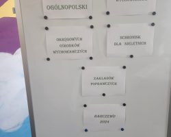 Ilustracja do artykułu Rozstrzygnięcie XIX Ogólnopolskiego Przeglądu Sztuki Wychowanek i Wychowanków Okręgowych Ośrodków Wychowawczych, Schronisk dla Nieletnich i Zakładów Poprawczych